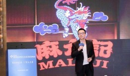 汪小菲崩溃爆料视频全集,揭秘视频全集背后的惊人真相