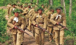 国内番号在线观看,揭秘热门动漫资源汇聚地