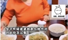 儿媳拍视频爆料婆婆,家庭矛盾背后的真相揭露