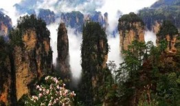 武陵源新闻爆料,揭秘神秘景区背后故事