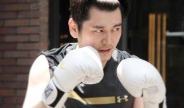 郑晨龙最新爆料视频大全,揭秘背后惊人真相