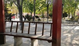 公园长椅吃瓜最新章节免费阅读,揭秘都市生活百态