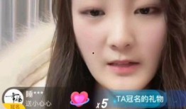 缅北主播爆料五嫂视频,五嫂视频背后的惊人真相