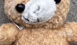 玩具熊爆料配方视频,跟随视频学习制作可爱玩偶