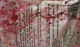 红兜兜爆料二哈视频大全,二哈搞笑视频大全，笑料横生，萌态百出