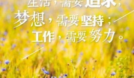 早安最新爆料图片高清版,高清揭秘最新爆料图片背后的秘密