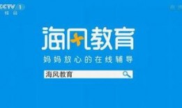 南京大连爆料视频大全,揭秘城市热点事件背后的真相