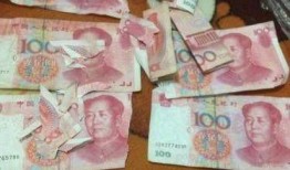 红兜兜爆料二哈视频大全,二哈搞笑视频大全，笑料横生，萌态百出