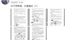 文职人员最新爆料案件查询,真相与反思