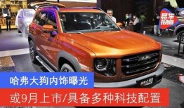 大狗最新爆料图片高清,高清图片揭秘神秘科技新品