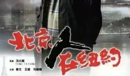 电影一地鸡毛在线观看,生活百态的缩影