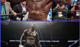 拳王维尔德最新爆料,拳坛传奇背后的不为人知故事