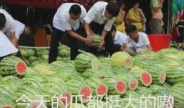 中国娱乐吃瓜,揭秘中国娱乐界的“吃瓜”盛况